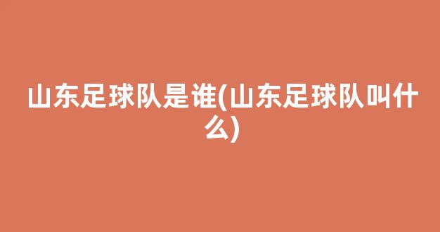 山东足球队是谁(山东足球队叫什么)