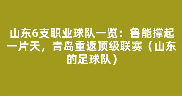 山东6支职业球队一览：鲁能撑起一片天，青岛重返顶级联赛（山东的足球队）