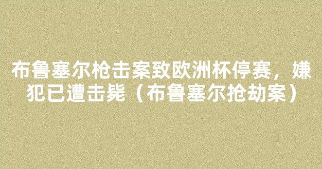 布鲁塞尔枪击案致欧洲杯停赛，嫌犯已遭击毙（布鲁塞尔抢劫案）