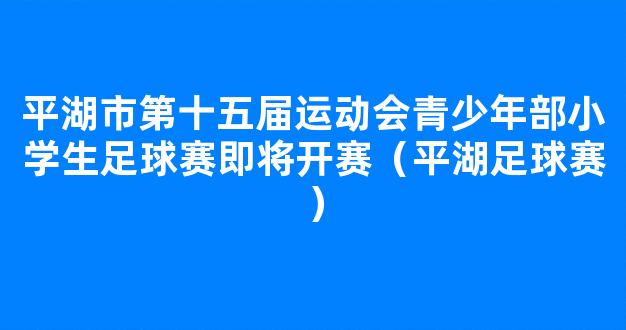 平湖市第十五届运动会青少年部小学生足球赛即将开赛（平湖足球赛）