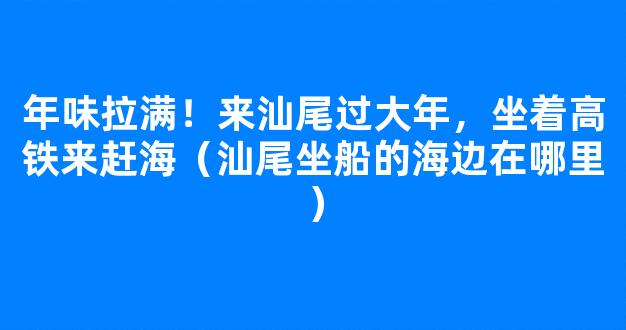 年味拉满！来汕尾过大年，坐着高铁来赶海（汕尾坐船的海边在哪里）