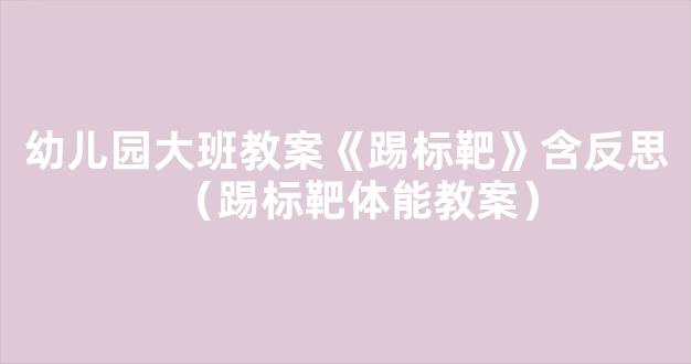 幼儿园大班教案《踢标靶》含反思（踢标靶体能教案）