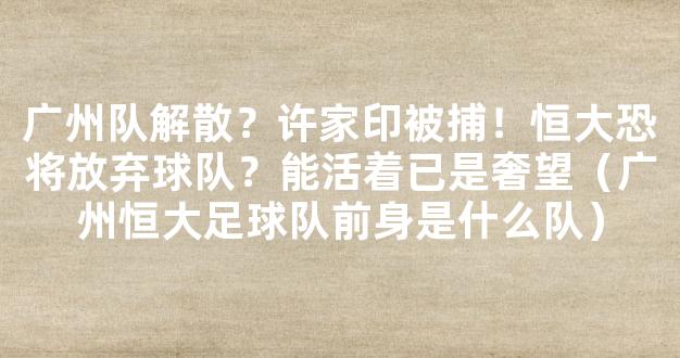 广州队解散？许家印被捕！恒大恐将放弃球队？能活着已是奢望（广州恒大足球队前身是什么队）