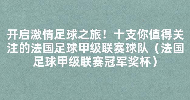 开启激情足球之旅！十支你值得关注的法国足球甲级联赛球队（法国足球甲级联赛冠军奖杯）