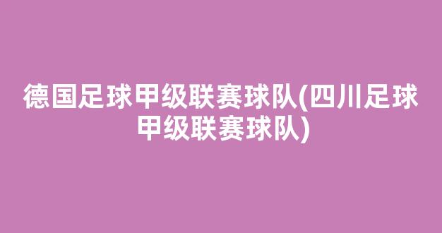 德国足球甲级联赛球队(四川足球甲级联赛球队)