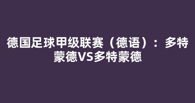 德国足球甲级联赛（德语）：多特蒙德VS多特蒙德