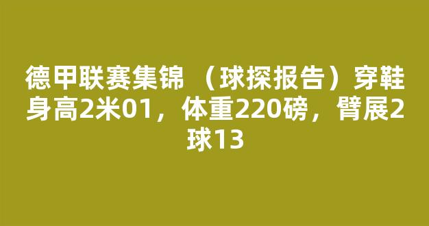 德甲联赛集锦 （球探报告）穿鞋身高2米01，体重220磅，臂展2球13