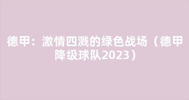 德甲：激情四溅的绿色战场（德甲降级球队2023）