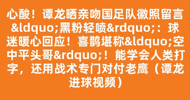 心酸！谭龙晒亲吻国足队徽照留言“黑粉轻喷”：球迷暖心回应！喜鹊堪称“空中平头哥”！能学会人类打字，还用战术专门对付老鹰（谭龙进球视频）