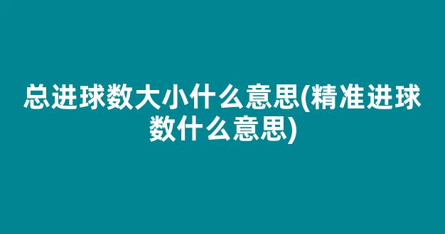 总进球数大小什么意思(精准进球数什么意思)