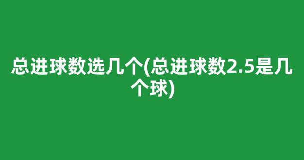 总进球数选几个(总进球数2.5是几个球)