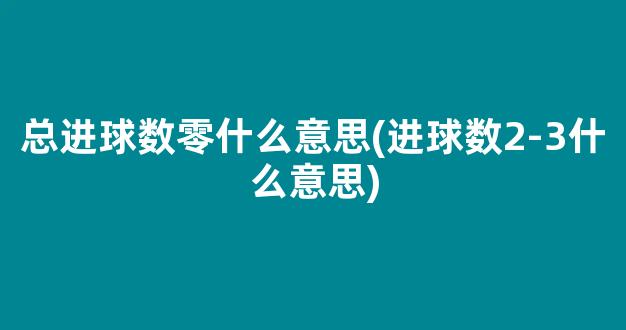 总进球数零什么意思(进球数2-3什么意思)