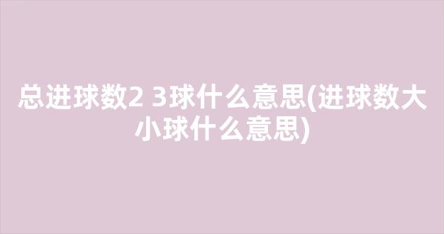 总进球数2 3球什么意思(进球数大小球什么意思)