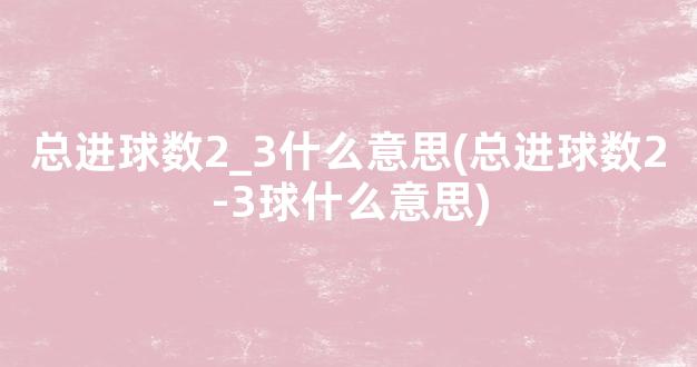 总进球数2_3什么意思(总进球数2-3球什么意思)