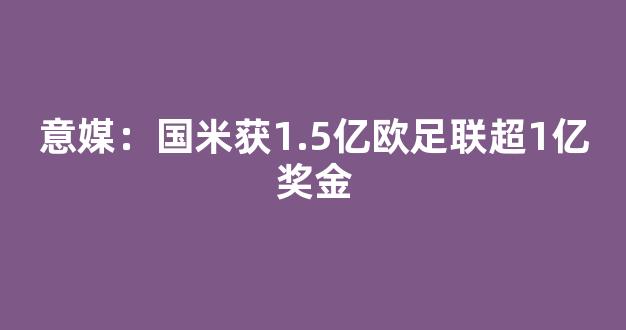 意媒：国米获1.5亿欧足联超1亿奖金