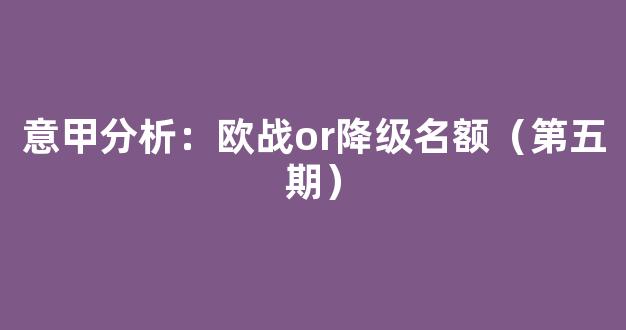 意甲分析：欧战or降级名额（第五期）