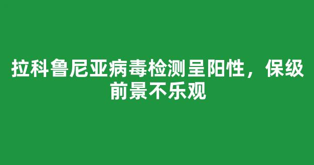 拉科鲁尼亚病毒检测呈阳性，保级前景不乐观