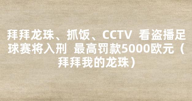 拜拜龙珠、抓饭、CCTV  看盗播足球赛将入刑  最高罚款5000欧元（拜拜我的龙珠）