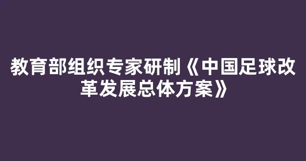 教育部组织专家研制《中国足球改革发展总体方案》