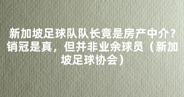 新加坡足球队队长竟是房产中介？销冠是真，但并非业余球员（新加坡足球协会）