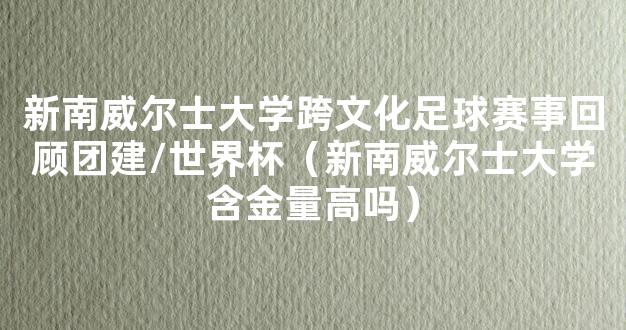 新南威尔士大学跨文化足球赛事回顾团建/世界杯（新南威尔士大学含金量高吗）