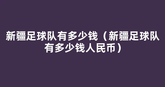 新疆足球队有多少钱（新疆足球队有多少钱人民币）