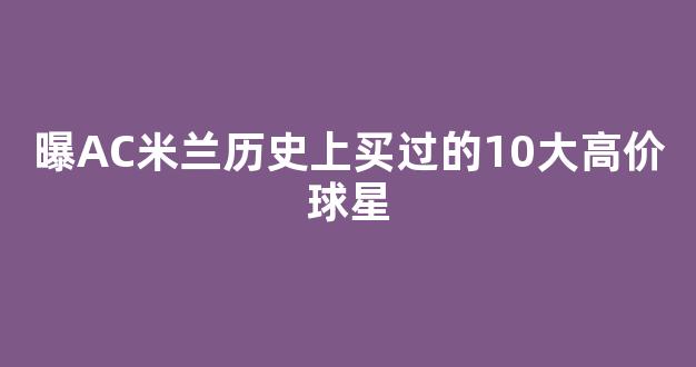 曝AC米兰历史上买过的10大高价球星