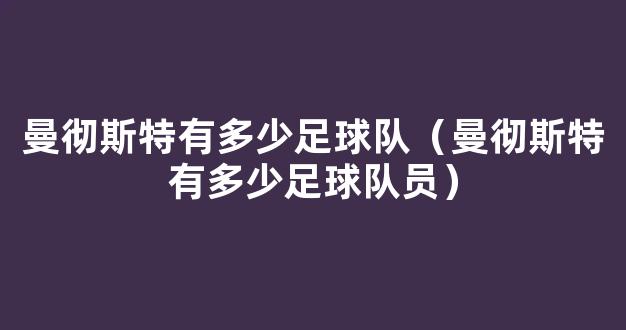 曼彻斯特有多少足球队（曼彻斯特有多少足球队员）