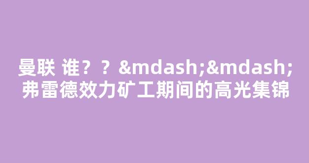 曼联 谁？？——弗雷德效力矿工期间的高光集锦