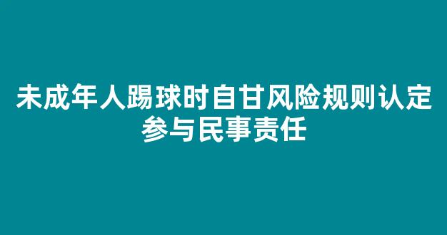 未成年人踢球时自甘风险规则认定参与民事责任