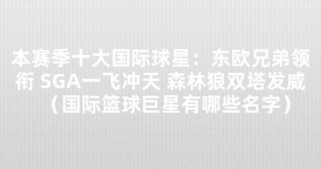 本赛季十大国际球星：东欧兄弟领衔 SGA一飞冲天 森林狼双塔发威（国际篮球巨星有哪些名字）