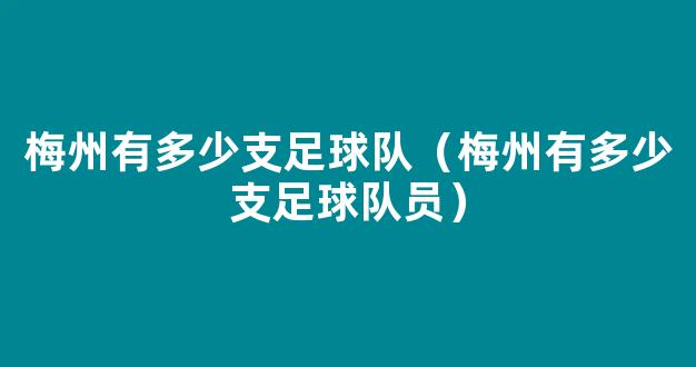 梅州有多少支足球队（梅州有多少支足球队员）