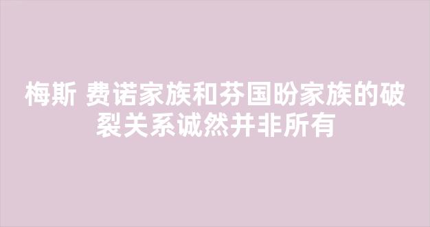 梅斯 费诺家族和芬国昐家族的破裂关系诚然并非所有