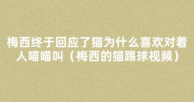 梅西终于回应了猫为什么喜欢对着人喵喵叫（梅西的猫踢球视频）