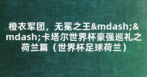 橙衣军团，无冕之王——卡塔尔世界杯豪强巡礼之荷兰篇（世界杯足球荷兰）