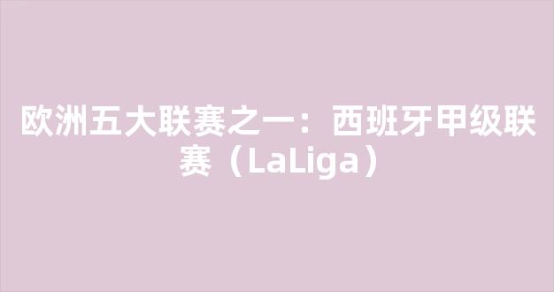 欧洲五大联赛之一：西班牙甲级联赛（LaLiga）