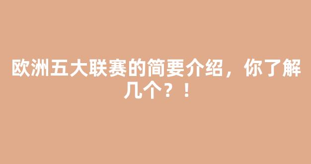 欧洲五大联赛的简要介绍，你了解几个？！