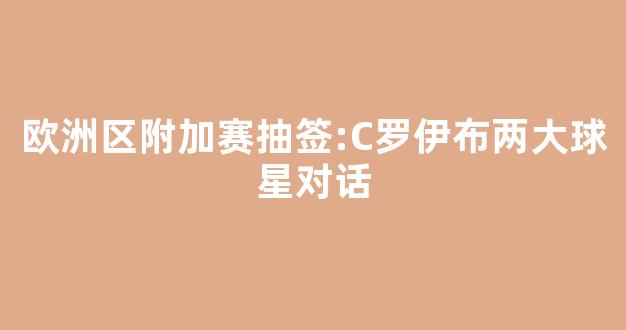 欧洲区附加赛抽签:C罗伊布两大球星对话