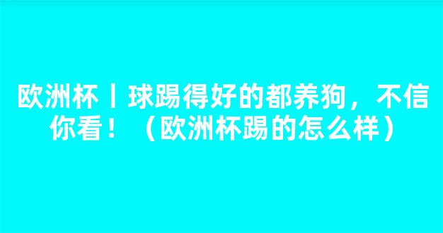 欧洲杯丨球踢得好的都养狗，不信你看！（欧洲杯踢的怎么样）