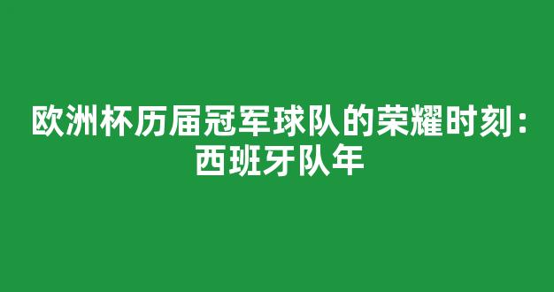 欧洲杯历届冠军球队的荣耀时刻：西班牙队年