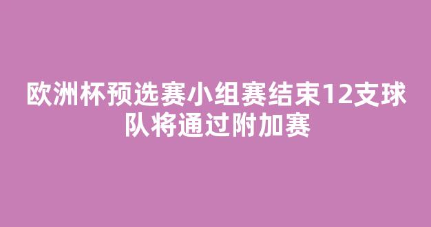 欧洲杯预选赛小组赛结束12支球队将通过附加赛