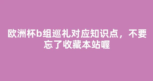 欧洲杯b组巡礼对应知识点，不要忘了收藏本站喔