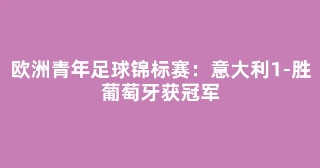 欧洲青年足球锦标赛：意大利1-胜葡萄牙获冠军