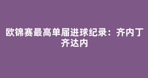 欧锦赛最高单届进球纪录：齐内丁齐达内