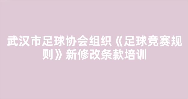 武汉市足球协会组织《足球竞赛规则》新修改条款培训