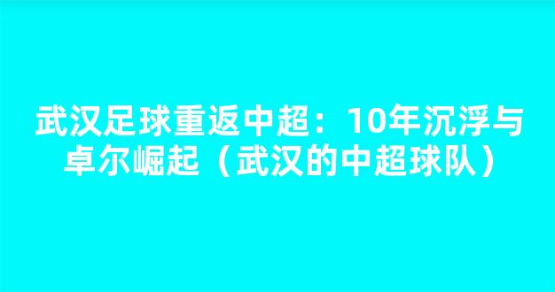 武汉足球重返中超：10年沉浮与卓尔崛起（武汉的中超球队）