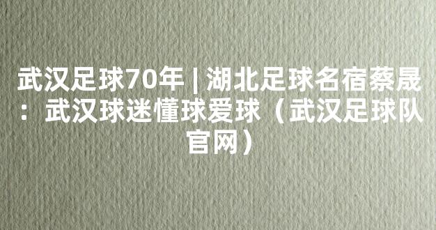 武汉足球70年 | 湖北足球名宿蔡晟：武汉球迷懂球爱球（武汉足球队官网）