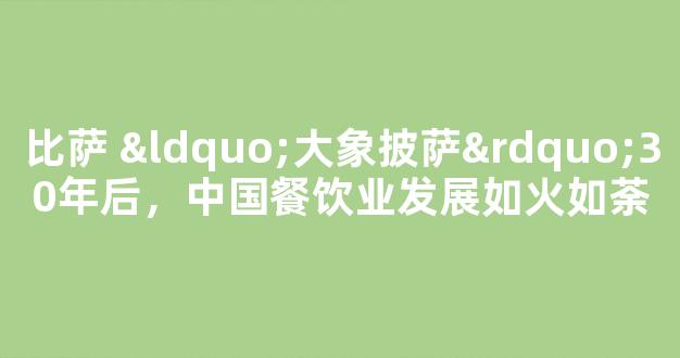 比萨 “大象披萨”30年后，中国餐饮业发展如火如荼