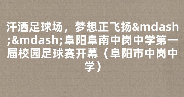 汗洒足球场，梦想正飞扬——阜阳阜南中岗中学第一届校园足球赛开幕（阜阳市中岗中学）