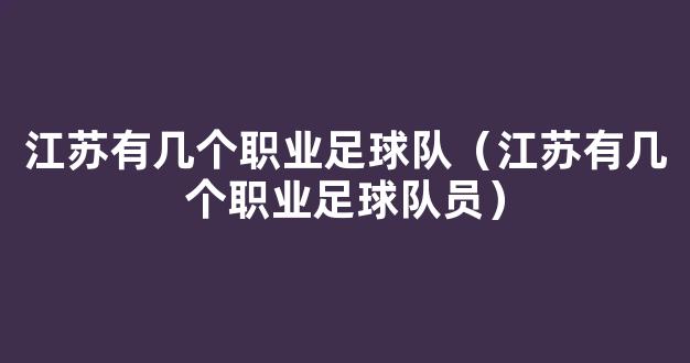 江苏有几个职业足球队（江苏有几个职业足球队员）